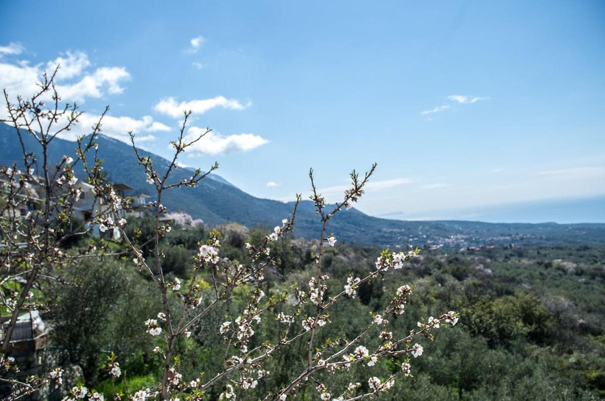 Dimos-Mani Wonderful View Villa Tseria Eksteriør bilde